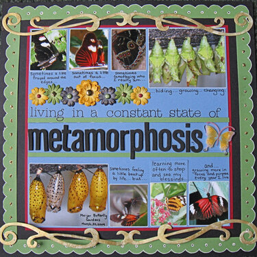 Living in a Constant State of Metamorphosis