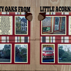 Mighty Oaks from Little Acorns Grow