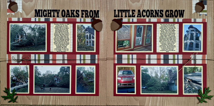 Mighty Oaks from Little Acorns Grow