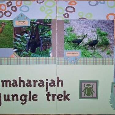 Maharajah Jungle Trek - Disney&#039;s Animal Kingdom