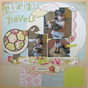 Turtle Travels