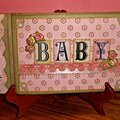 "Baby Girl" paper bag mini album.