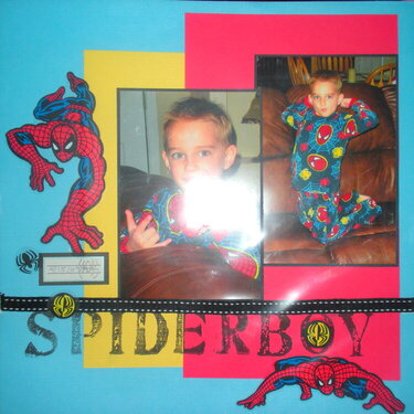 Spiderboy