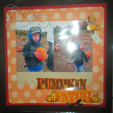 pumpkin patch