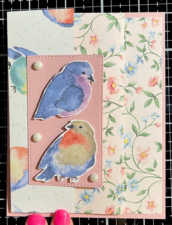 Bluebird Birthday Card
