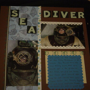 Sea Diver