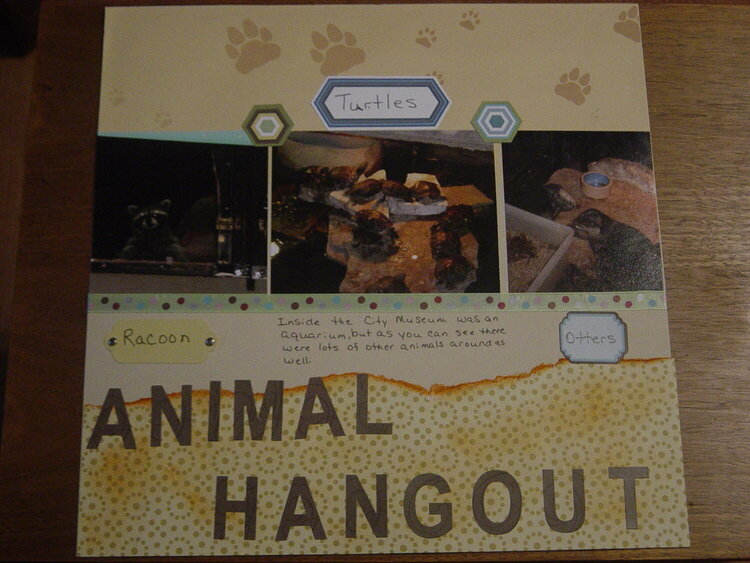 Animal Hangout