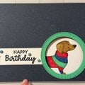 Dog birthday