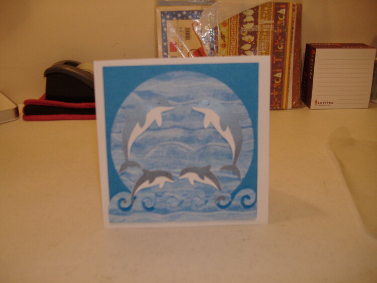 Dolphin B-day card