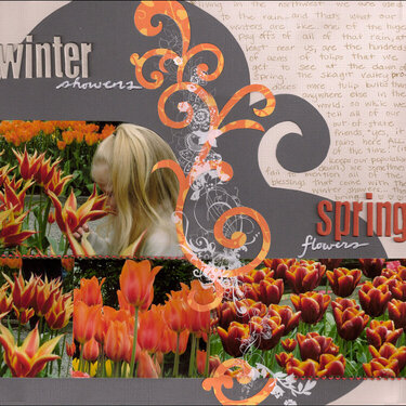 Winter Showers - Spring Flowers