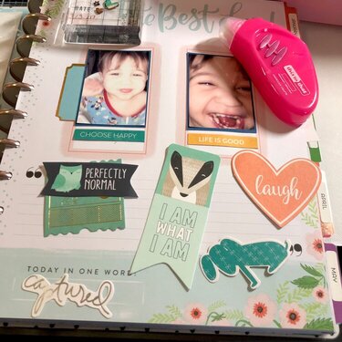 Layout in mambi planner