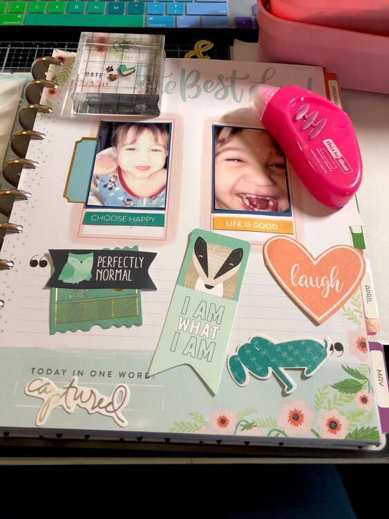 Layout in mambi planner
