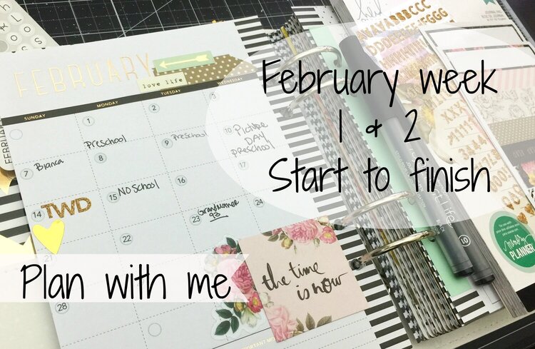 February week 1&amp;2 memory planner. **video**