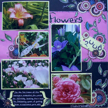Flowers of 2008