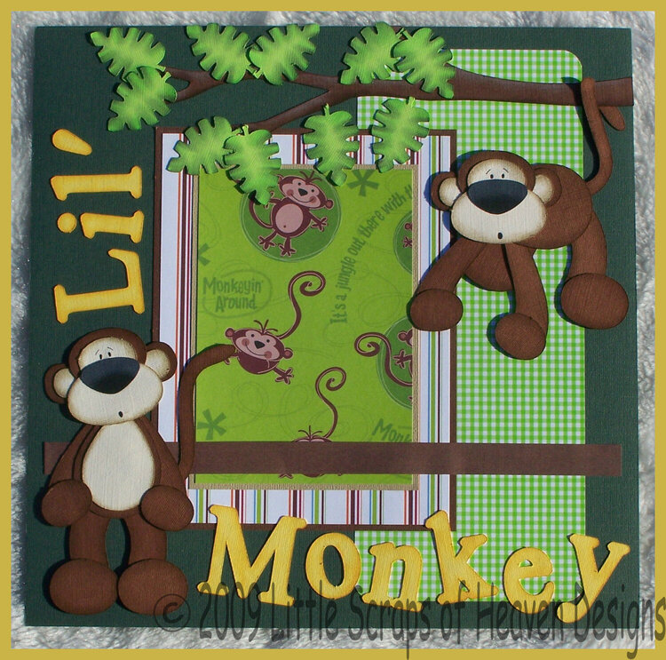 Lil&#039; Monkey