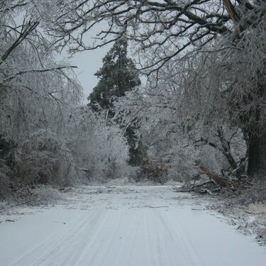 2009 Ice Storm-NW Arkansas