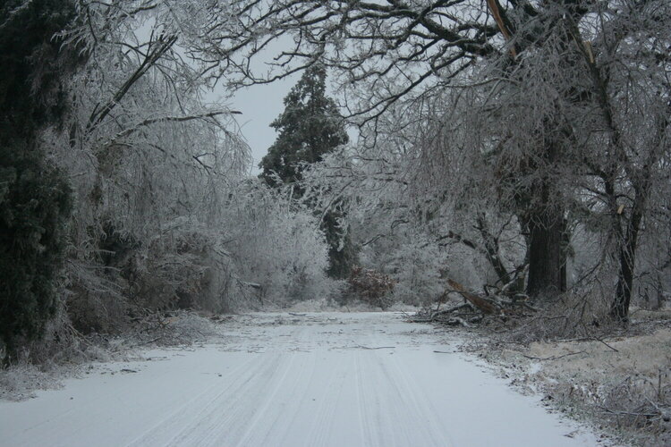 2009 Ice Storm-NW Arkansas