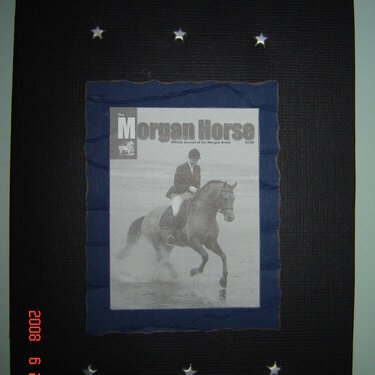 Morgan Horse Card