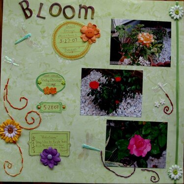 in bloom (2)
