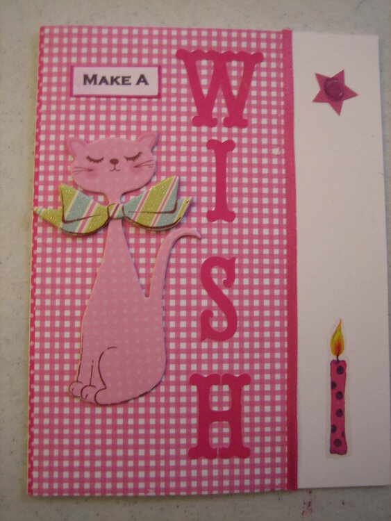 Make a Wish-pink cat