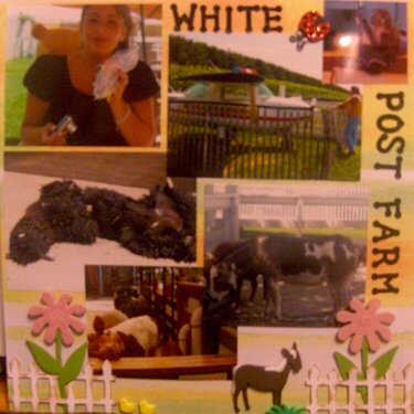 White post Farm 2