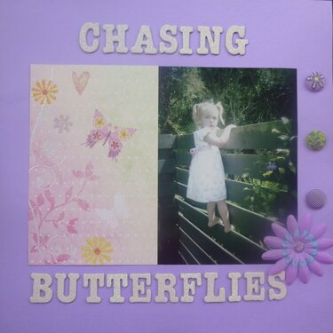 chasing butterflys
