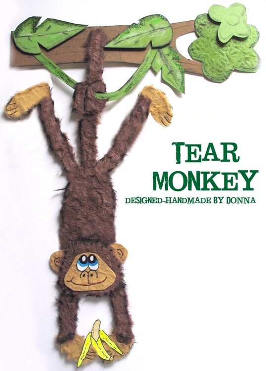 tear bear tear monkey