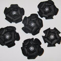 Black Flowers - Linn's Flower Swap