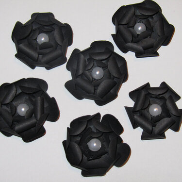 Black Flowers - Linn&#039;s Flower Swap
