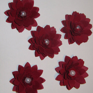 Red Flowers - Linn&#039;s Flower Swap