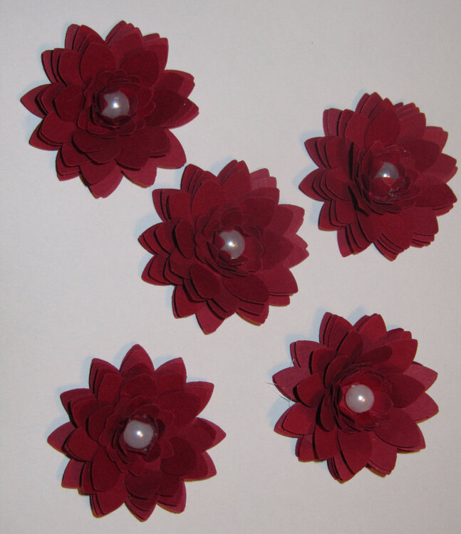 Red Flowers - Linn&#039;s Flower Swap