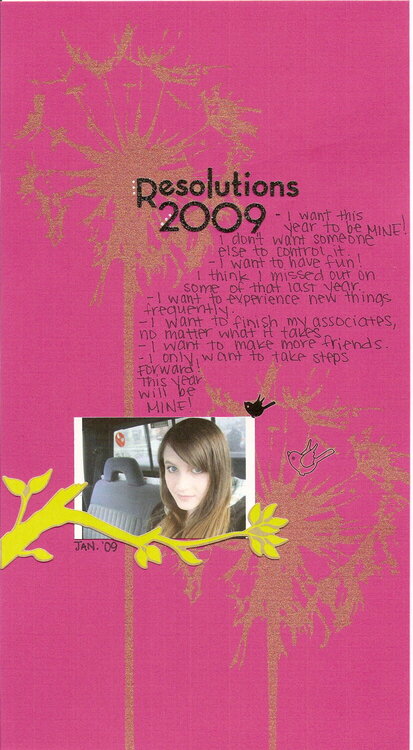 Resolutions 2009