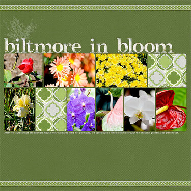 Biltmore in Bloom (l)