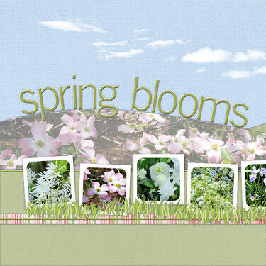 Spring Blooms (l)