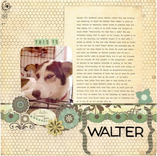 Walter the foster dog