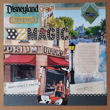 The Windows of The Disneyland Emporium