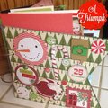 Christmas card mini album