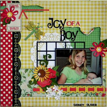 Joy Of A Boy **Cheery Lynn Designs**