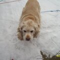 Kayliegh not enjoying the snow