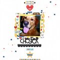 chester(bella blvd) || HappyGRL