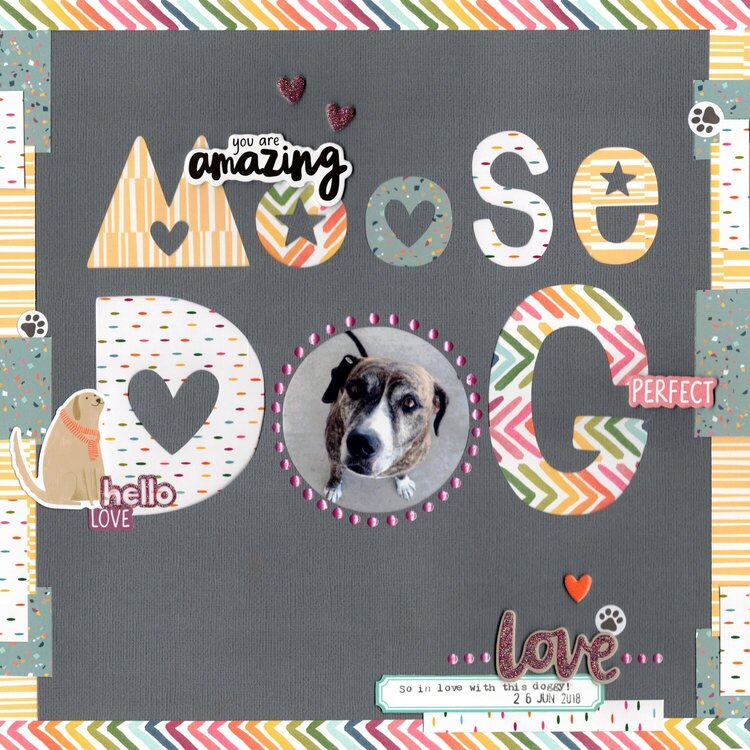 moose dog (paper issues) || happyGRL