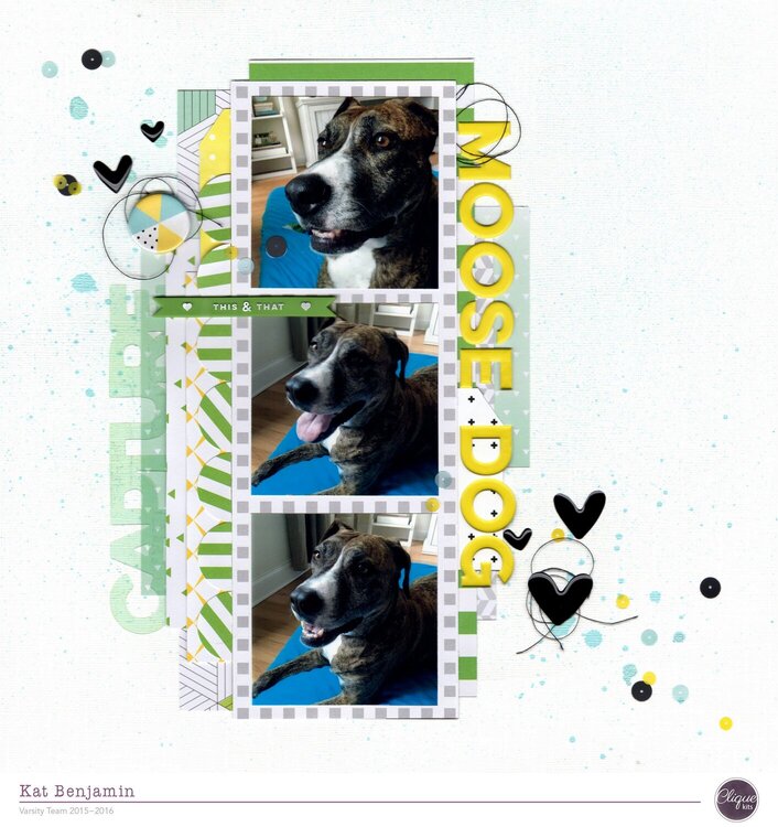 moose dog (clique kits) || happyGRL