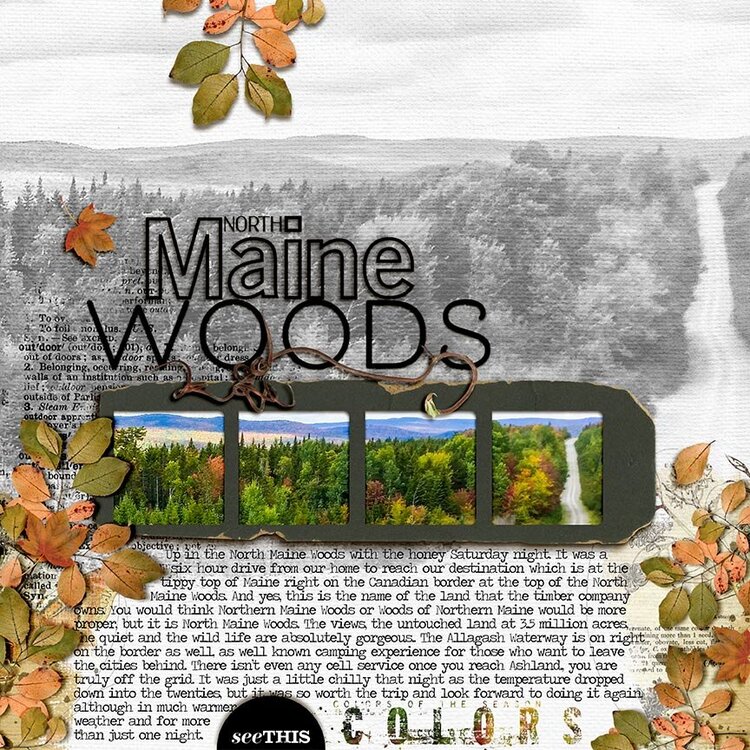 North Maine Woods