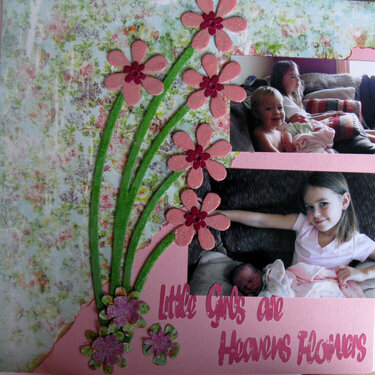Little girls are Heavens Flowers