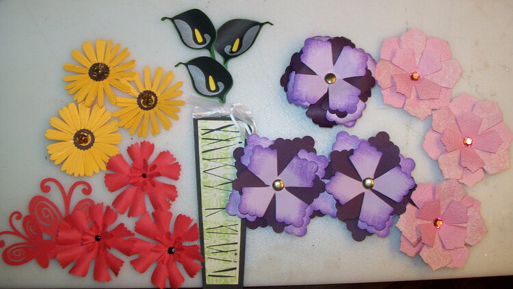 sampling of my flowers for swap