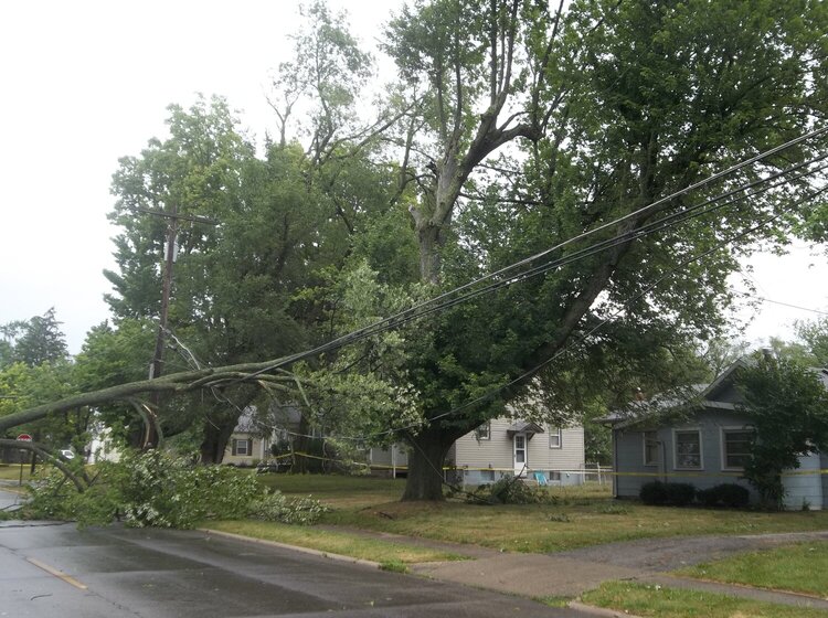 downed tree limb that caused power outage at my sister&#039;s house(right side)
