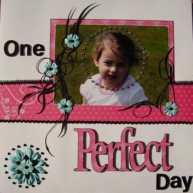 One Perfect Day