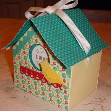 Birdhouse Box with Accordion Album