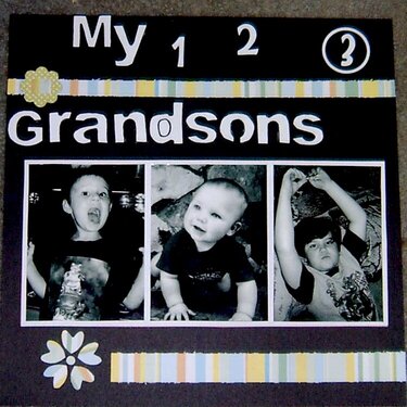my 3 grandsons
