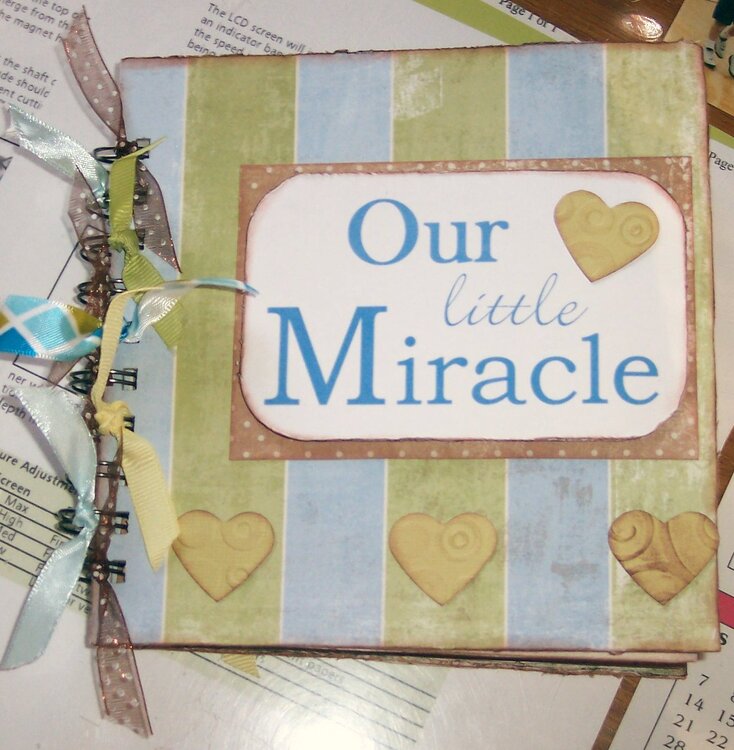 Baby Boy Mini album--Our little Miracle